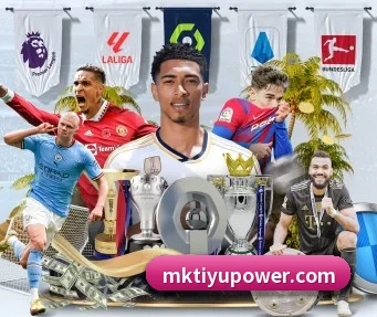 MK体育 APP（MKSPORTS）